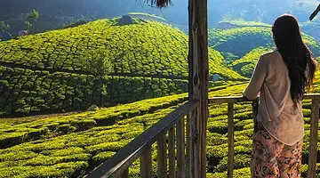 Kerala b2b tour pacakages